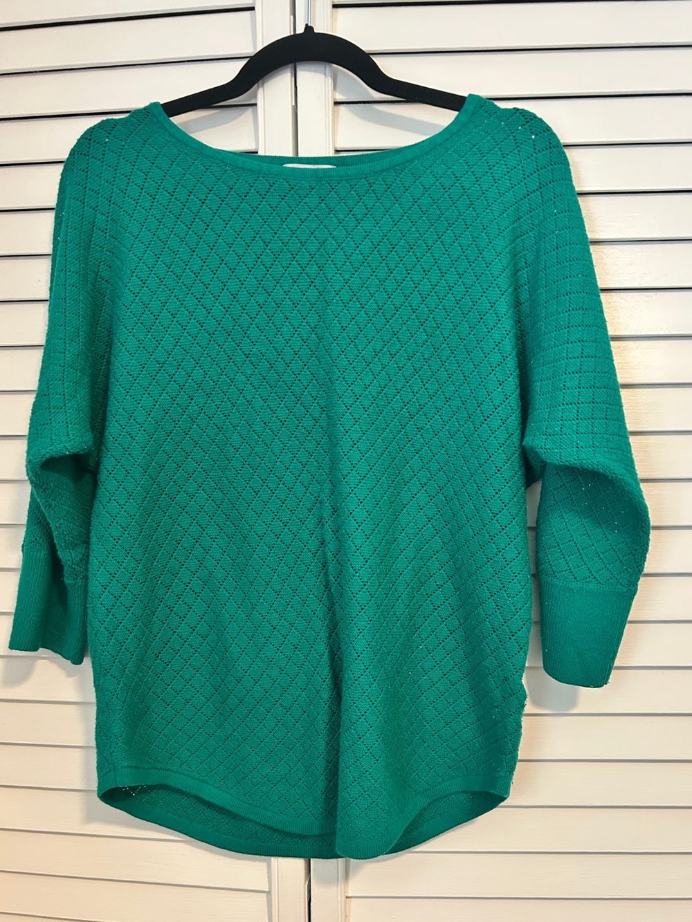 New York & Company Green Knit Scoop Neck Sweater